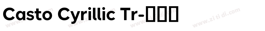 Casto Cyrillic Tr字体转换